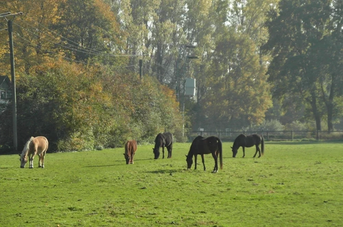 Unser Hof