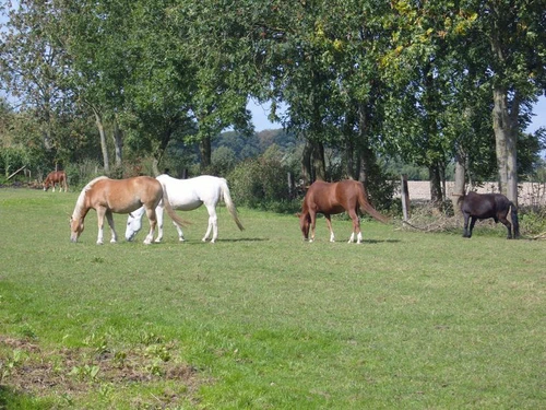 Unser Hof