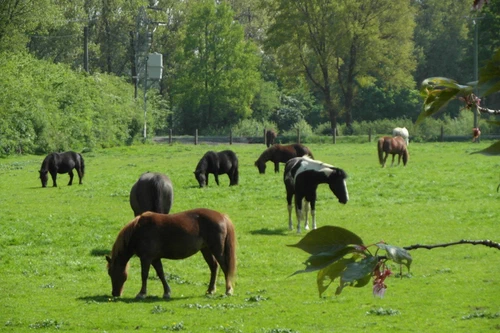 Unser Hof