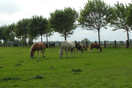 Unser Hof