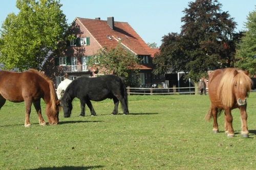 Unser Hof
